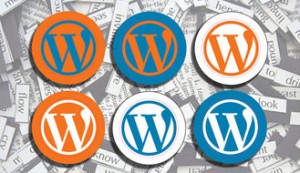 Wordpress Custom Solutions